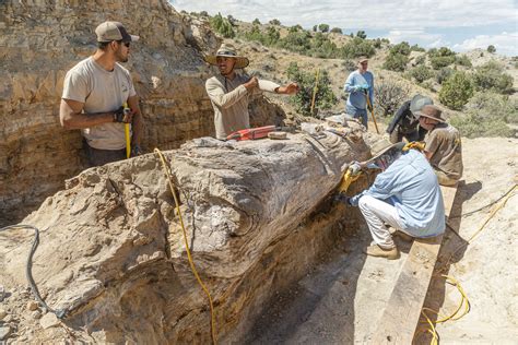 fossil log in.